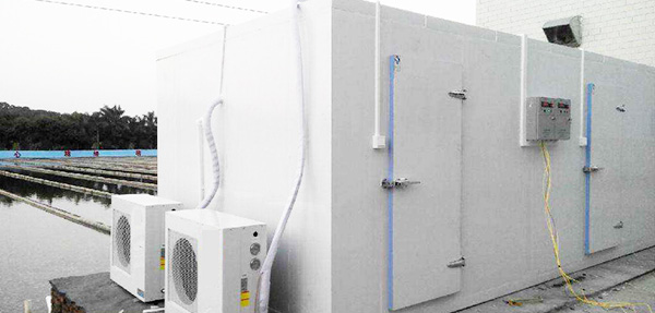 多年行业经验沉淀，专业工程规划