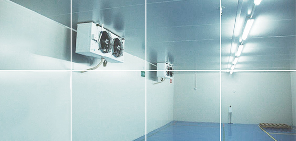 制冷设备齐全 配套系统输出